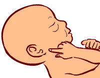 22 weeks old fetus (baby)